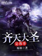 给我齐天大圣