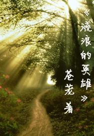 流浪lol