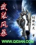 武装风暴 epub