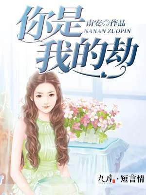 你是我的劫数歌词