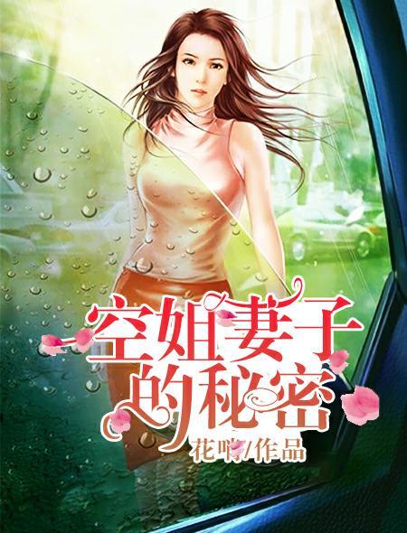 空姐妻子的秘密服