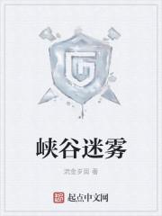 在峡谷迷路了怎么办