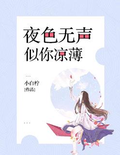 夜色凉凉此心何负什么歌