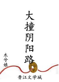 大撞阴阳路讲的啥