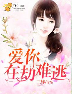 爱你在劫难逃txt洛小秋