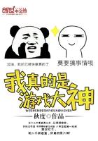 我真不是游戏大师
