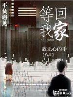等我回家歌词的意思