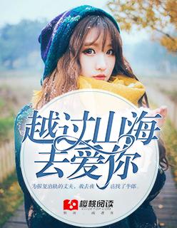 我越过山海是什么歌
