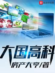 大国集团是什么公司