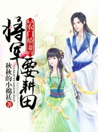 农门将军要种田