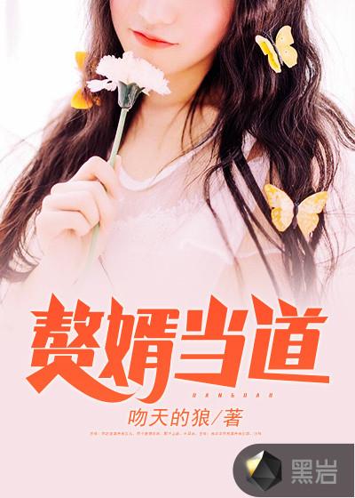 笔趣阁上门赘婿