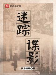 m迷踪谍影