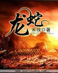 龙蛇之战