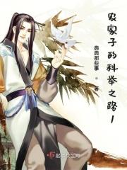 农家子的科举之路TXT