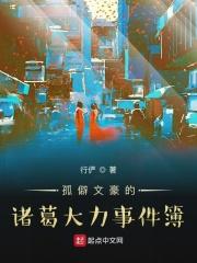 有关于诸葛大力的