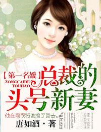 第一名媛总裁的头号新妻书