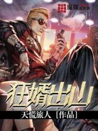 狂婿系列