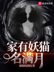家有猫妖txt