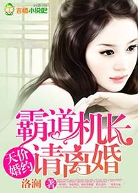 宠妻成瘾霸道机长请离婚全集