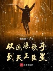 从流浪歌手到天王巨星在线阅读