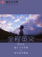 全程英文面试