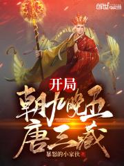 开局朝九晚五唐三藏 暴怒的小家伙