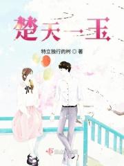 男主角楚天