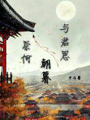 奈何相逢不识君