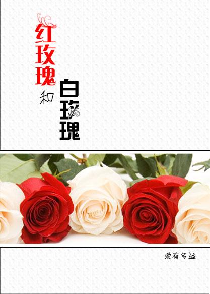 红玫瑰与白玫瑰完整版