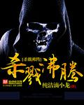 杀戮沸腾 txt