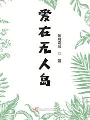 无人岛大冒险2攻略