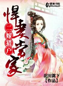 二嫁夫人 全文免费阅读