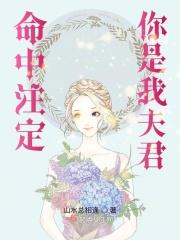 命中注定是你