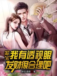 透视鉴宝医仙