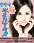 总裁的恨妻