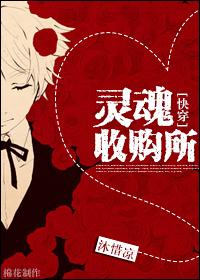 灵魂巡回者[快穿
