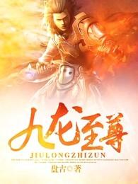 九龙至尊在线阅读