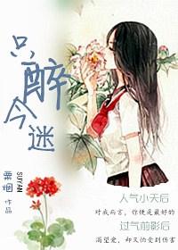 只只不醉作品