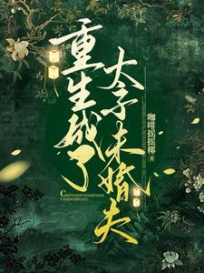 重生成太子妃的宠文
