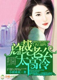 名门宠妻老公太生猛