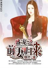 盛宠前妻老婆再来一次免费阅读笔趣阁