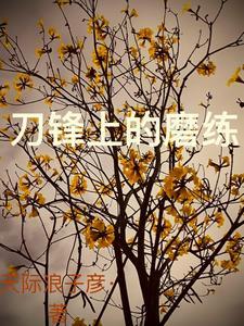 在刀锋上行走