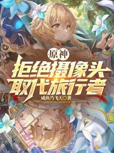 原神拒绝摄像头