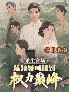 重生官场登顶免费阅读