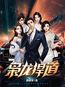 枭龙 单价