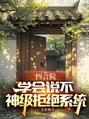 四合院开局拒绝秦淮茹夜晨
