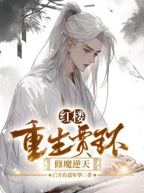 红楼重生贾瑚