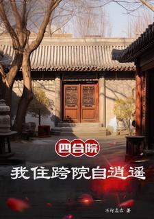 四合院我是黑市掌控者林阳