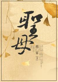 圣母 日本悬疑