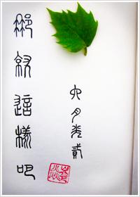 歌曲再见歌词
